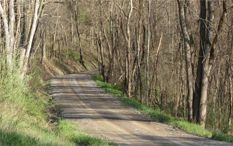 0 Drift Ridge Road / Sheppard Run, Spraggs, 15362, ,Farm-acreage-lot,For Sale,Drift Ridge Road / Sheppard Run,1701406