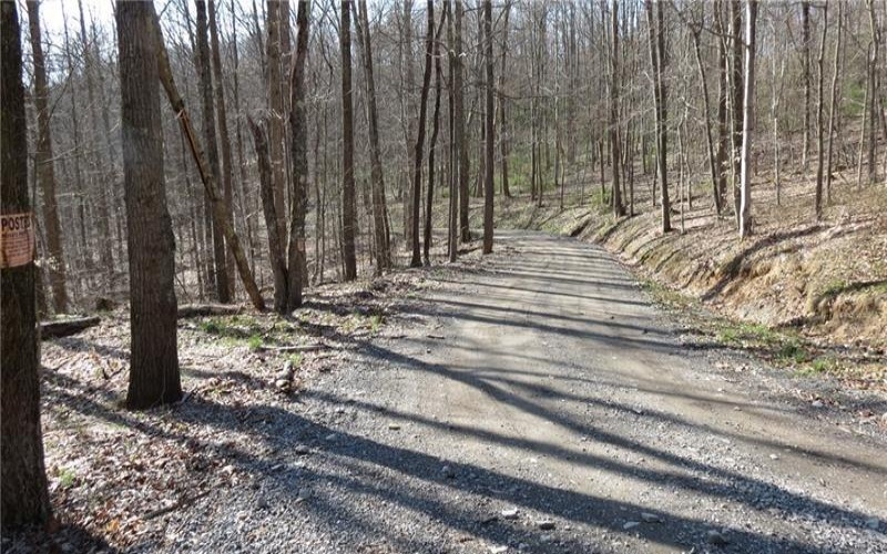 0 Drift Ridge Road / Sheppard Run, Spraggs, 15362, ,Farm-acreage-lot,For Sale,Drift Ridge Road / Sheppard Run,1701406