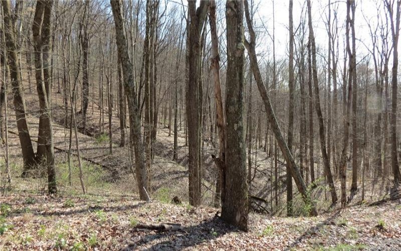 0 Drift Ridge Road / Sheppard Run, Spraggs, 15362, ,Farm-acreage-lot,For Sale,Drift Ridge Road / Sheppard Run,1701406