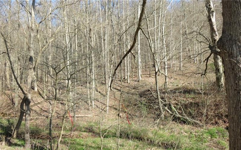 0 Drift Ridge Road / Sheppard Run, Spraggs, 15362, ,Farm-acreage-lot,For Sale,Drift Ridge Road / Sheppard Run,1701406
