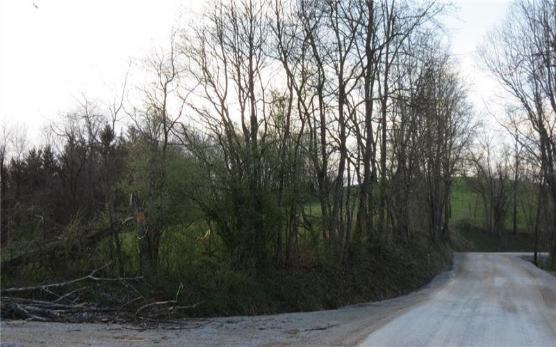 0 Drift Ridge Road / Sheppard Run, Spraggs, 15362, ,Farm-acreage-lot,For Sale,Drift Ridge Road / Sheppard Run,1701406
