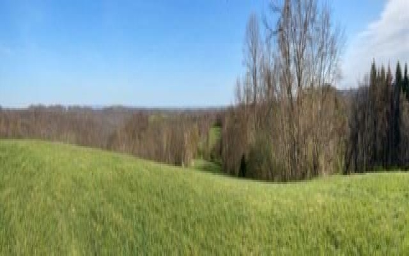 0 Drift Ridge Road / Sheppard Run, Spraggs, 15362, ,Farm-acreage-lot,For Sale,Drift Ridge Road / Sheppard Run,1701406
