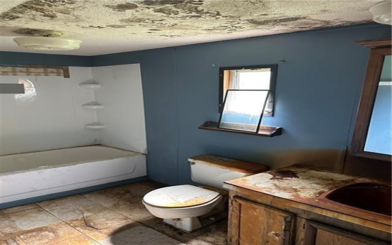 5676 PA 711, New Florence, 15944, 2 Bedrooms Bedrooms, ,1 BathroomBathrooms,Farm-acreage-lot,For Sale,PA 711,1714786