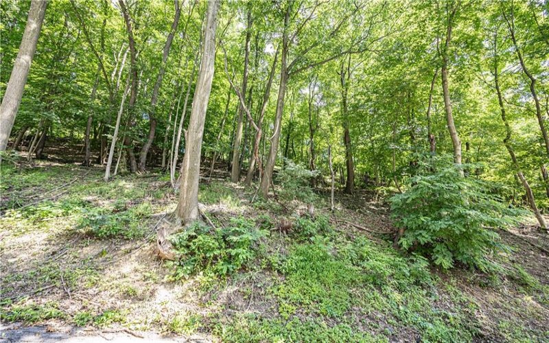 Lots 12-14 Ross Ave, New Kensington, 15068, ,Farm-acreage-lot,For Sale,Ross Ave,1714884