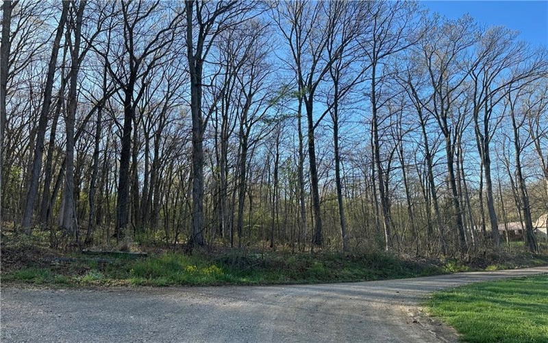 0 Swallow Rd, Loyalhanna Twp, 15670, ,Farm-acreage-lot,For Sale,Swallow Rd,1701755