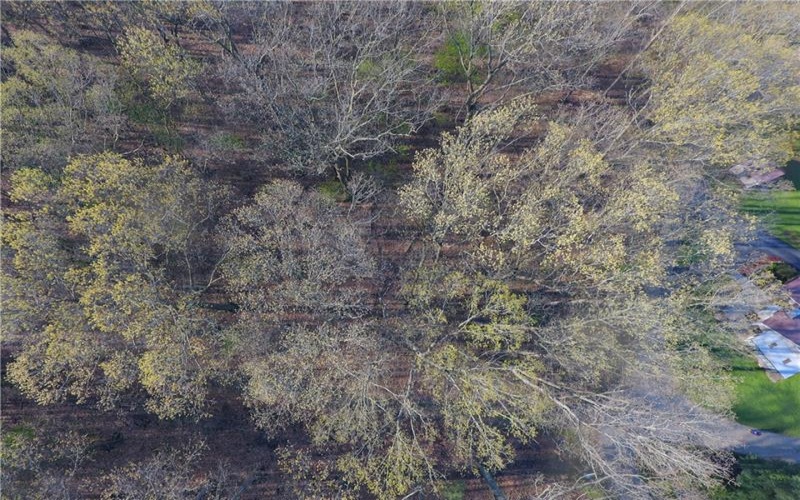 0 Swallow Rd, Loyalhanna Twp, 15670, ,Farm-acreage-lot,For Sale,Swallow Rd,1701755