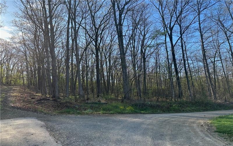 0 Swallow Rd, Loyalhanna Twp, 15670, ,Farm-acreage-lot,For Sale,Swallow Rd,1701755