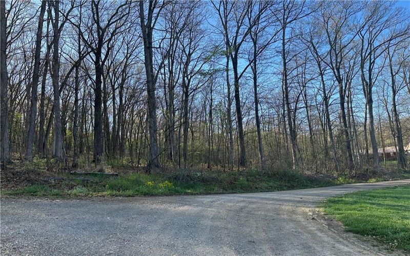 0 Swallow Rd, Loyalhanna Twp, 15670, ,Farm-acreage-lot,For Sale,Swallow Rd,1701755
