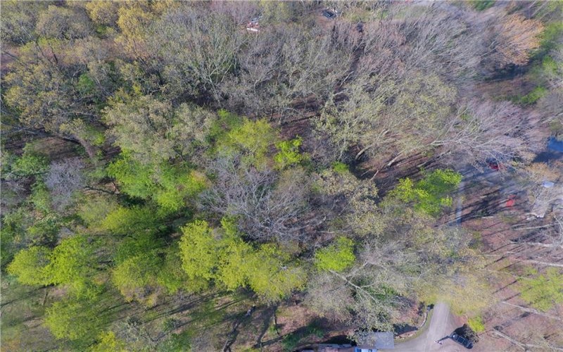 0 Cardinal Dr, Loyalhanna Twp, 15670, ,Farm-acreage-lot,For Sale,Cardinal Dr,1701756