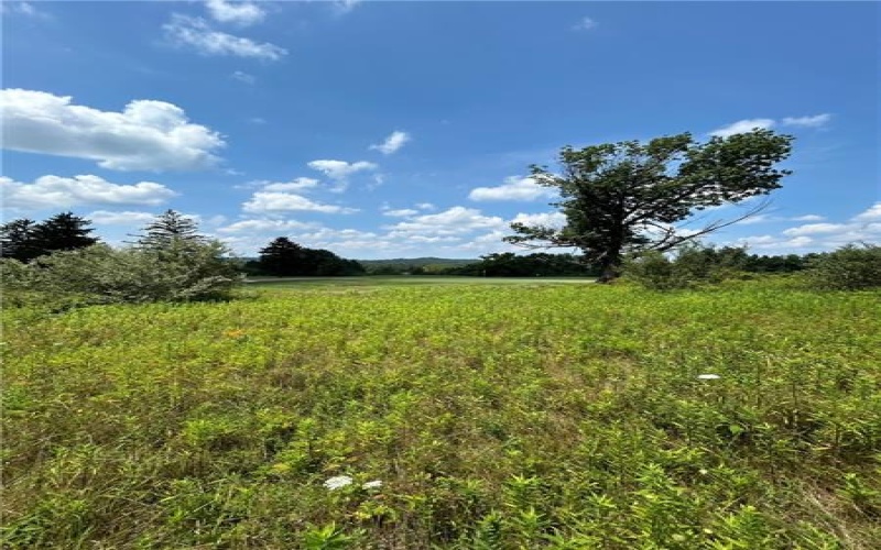 Lot 178 Sandpiper Drive, Loyalhanna Township, 15670, ,Farm-acreage-lot,For Sale,Sandpiper Drive,1715238