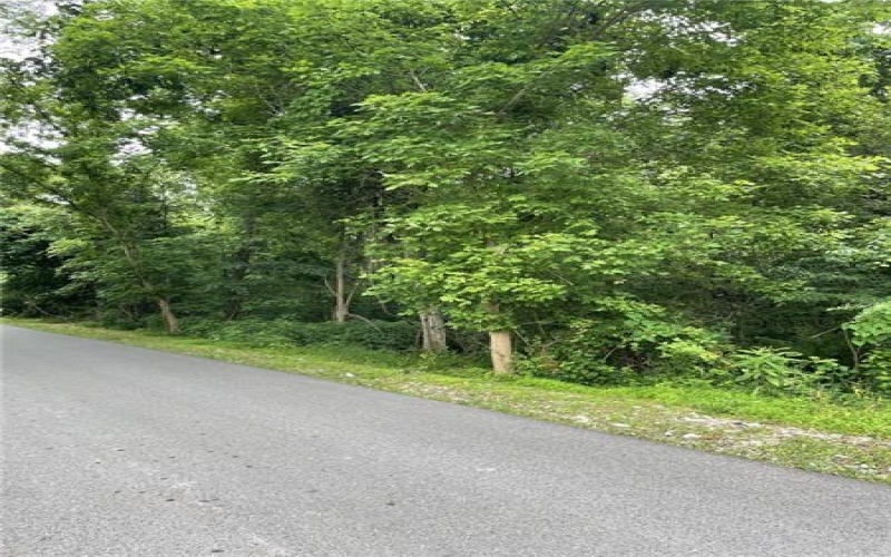 00 Honor St, Coal Center, 15423, ,Farm-acreage-lot,For Sale,Honor St,1715948