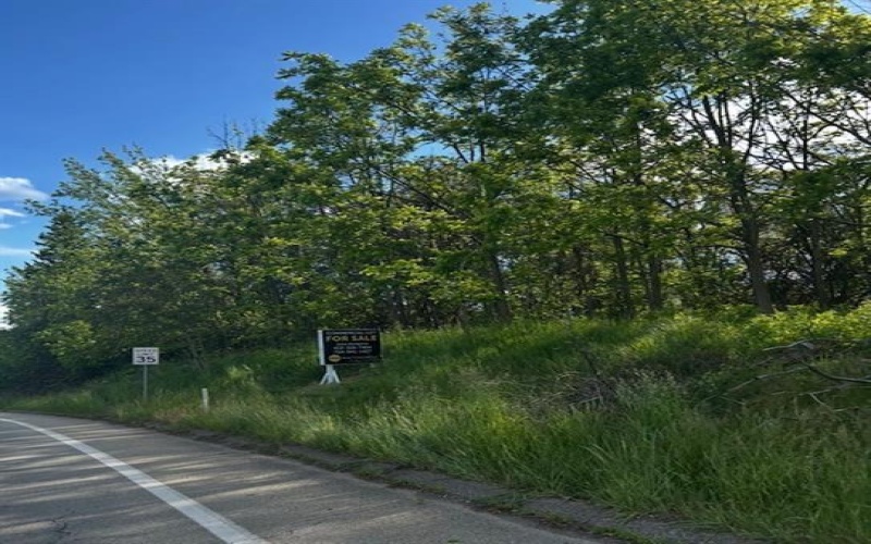 0 Morganza Road, Canonsburg, 15317, ,Commercial-industrial-business,For Sale,Morganza Road,1703191