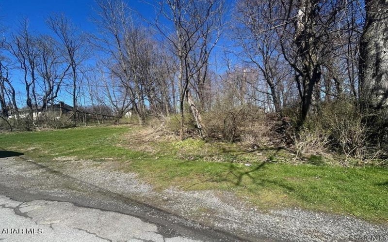 0 Mount Airy Dr, Johnstown, 15904, ,Farm-acreage-lot,For Sale,Mount Airy Dr,1716723