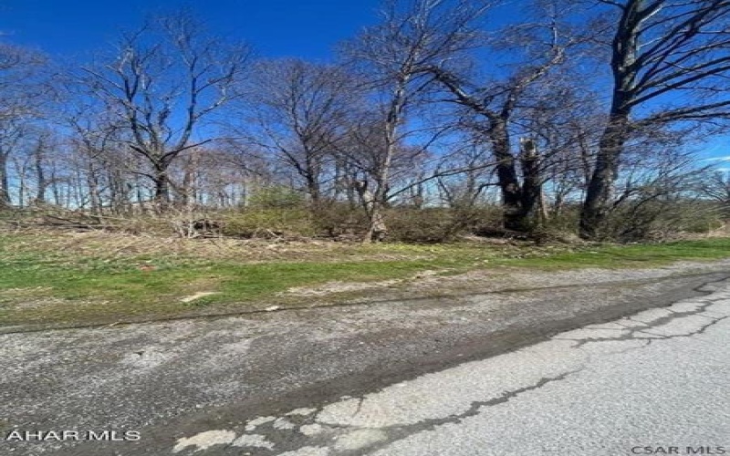 0 Mount Airy Dr, Johnstown, 15904, ,Farm-acreage-lot,For Sale,Mount Airy Dr,1716723