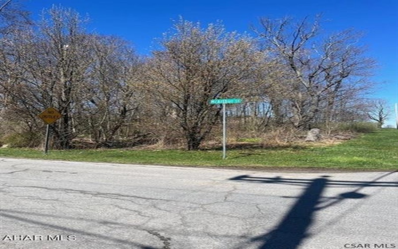 0 Mount Airy Dr, Johnstown, 15904, ,Farm-acreage-lot,For Sale,Mount Airy Dr,1716723