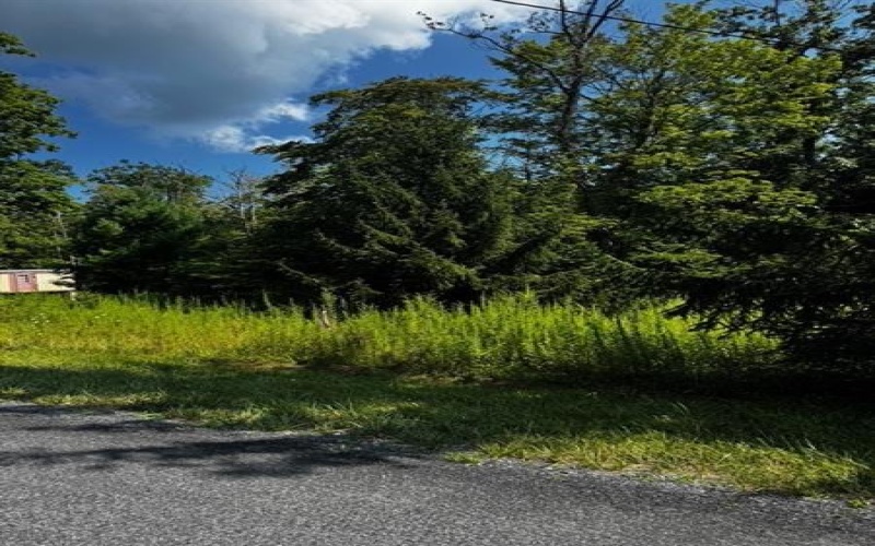 370 Old Hickory Flt, Somerset, 15501, ,Farm-acreage-lot,For Sale,none,Old Hickory Flt,1716833