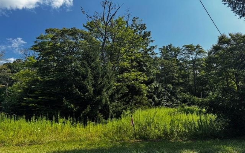 370 Old Hickory Flt, Somerset, 15501, ,Farm-acreage-lot,For Sale,none,Old Hickory Flt,1716833