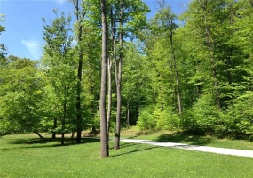 Lot 28 Grouse Point, Champion, 15622, ,Farm-acreage-lot,For Sale,none,Grouse Point,1703730