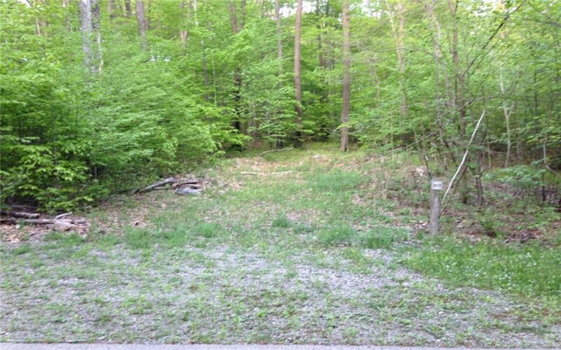 Lot 28 Grouse Point, Champion, 15622, ,Farm-acreage-lot,For Sale,none,Grouse Point,1703730