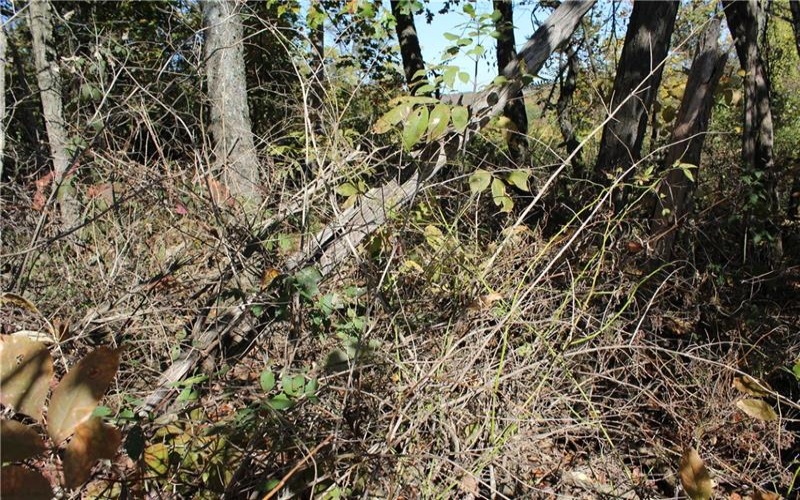 800 block Eldersville Rd, Burgettstown, 15021, ,Farm-acreage-lot,For Sale,Eldersville Rd,1717041