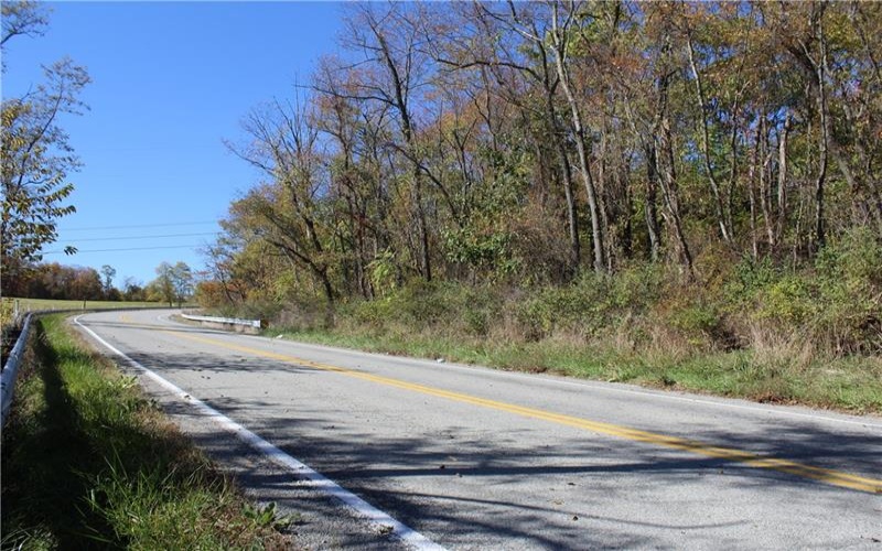 800 block Eldersville Rd, Burgettstown, 15021, ,Farm-acreage-lot,For Sale,Eldersville Rd,1717041