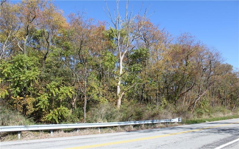 800 block Eldersville Rd, Burgettstown, 15021, ,Farm-acreage-lot,For Sale,Eldersville Rd,1717041