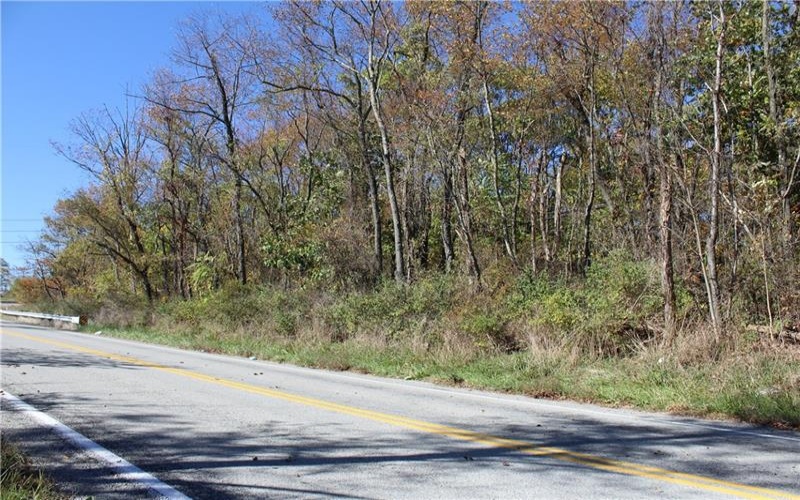 800 block Eldersville Rd, Burgettstown, 15021, ,Farm-acreage-lot,For Sale,Eldersville Rd,1717041