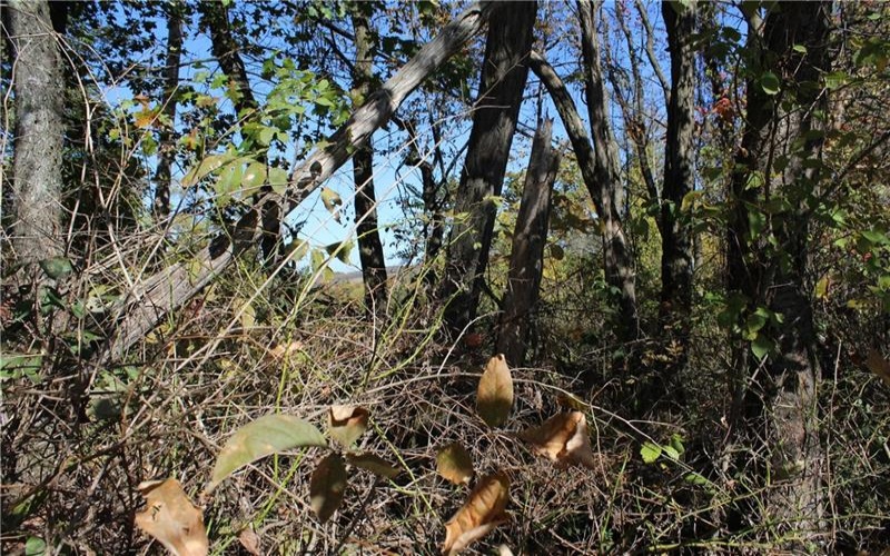 800 block Eldersville Rd, Burgettstown, 15021, ,Farm-acreage-lot,For Sale,Eldersville Rd,1717041
