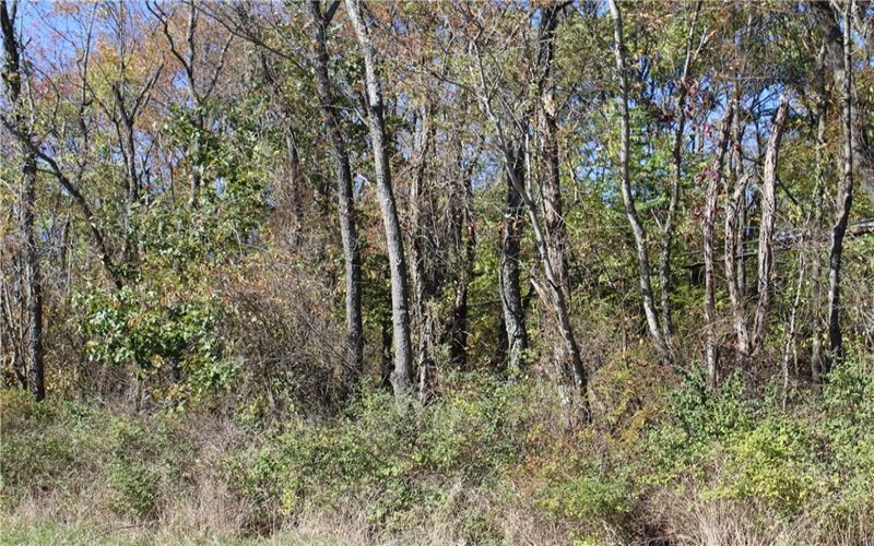 800 block Eldersville Rd, Burgettstown, 15021, ,Farm-acreage-lot,For Sale,Eldersville Rd,1717041