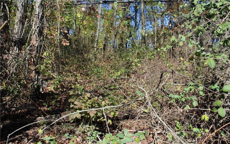 800 block Eldersville Rd, Burgettstown, 15021, ,Farm-acreage-lot,For Sale,Eldersville Rd,1717041