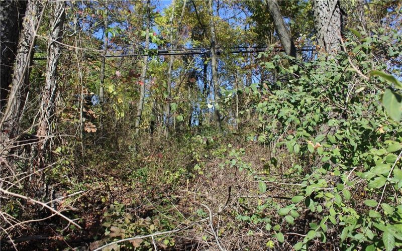 800 block Eldersville Rd, Burgettstown, 15021, ,Farm-acreage-lot,For Sale,Eldersville Rd,1717041