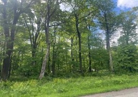 Lot 21 Village Run Road, Jennerstown, 15531, ,Farm-acreage-lot,For Sale,Village Run Road,1703994