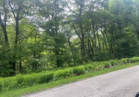 Lot # 87 Laurel Summit Road, Jennerstown, 15531, ,Farm-acreage-lot,For Sale,Laurel Summit Road,1703999
