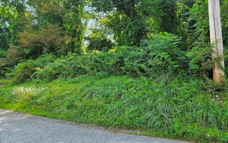 0 Arch Ave, Monessen, 15062, ,Farm-acreage-lot,For Sale,Arch Ave,1717109