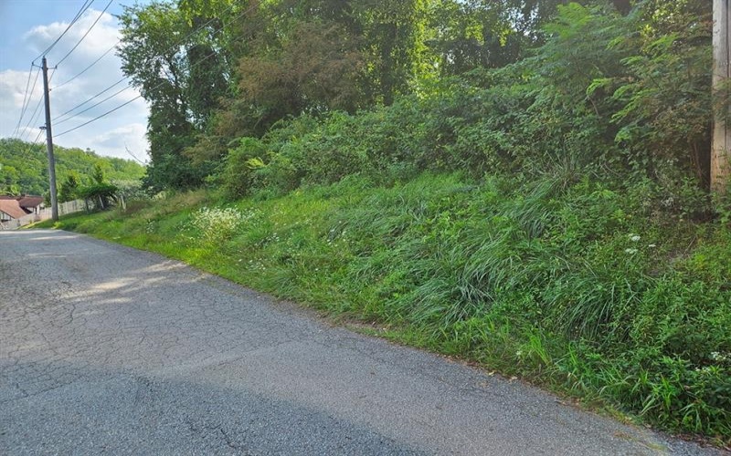 0 Arch Ave, Monessen, 15062, ,Farm-acreage-lot,For Sale,Arch Ave,1717109