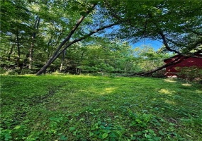 0 Nellie School Rd, Vanderbilt, 15486, 2 Bedrooms Bedrooms, ,1 BathroomBathrooms,Farm-acreage-lot,For Sale,house,Nellie School Rd,1704303