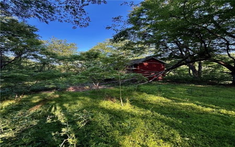 0 Nellie School Rd, Vanderbilt, 15486, 2 Bedrooms Bedrooms, ,1 BathroomBathrooms,Farm-acreage-lot,For Sale,house,Nellie School Rd,1704303