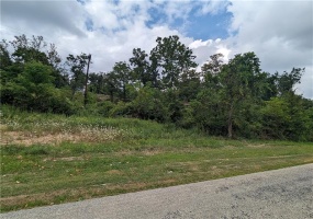 0 Chestnut, Charleroi, 15022, ,Farm-acreage-lot,For Sale,Chestnut,1717400