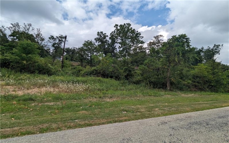 0 Chestnut, Charleroi, 15022, ,Farm-acreage-lot,For Sale,Chestnut,1717400