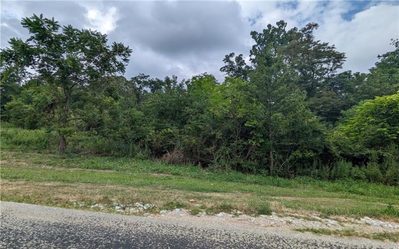 0 Chestnut, Charleroi, 15022, ,Farm-acreage-lot,For Sale,Chestnut,1717400