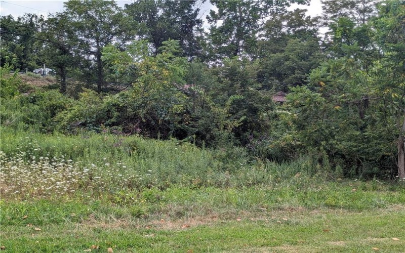 0 Chestnut, Charleroi, 15022, ,Farm-acreage-lot,For Sale,Chestnut,1717400