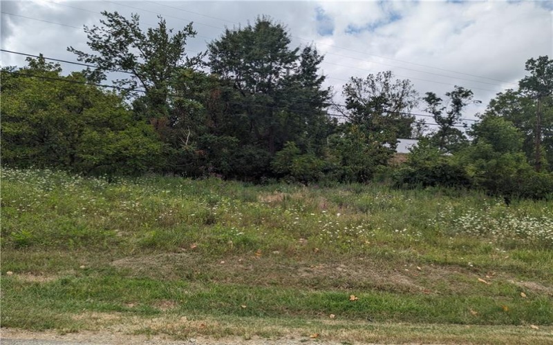 0 Chestnut, Charleroi, 15022, ,Farm-acreage-lot,For Sale,Chestnut,1717400
