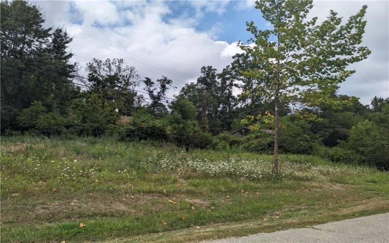 0 Chestnut, Charleroi, 15022, ,Farm-acreage-lot,For Sale,Chestnut,1717400