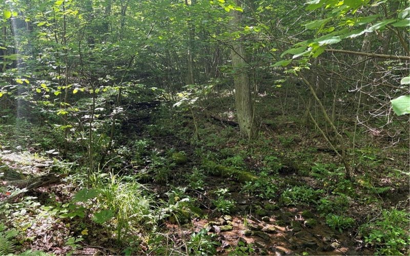 000 Fowl Hill Rd, Melcroft, 15462, ,Farm-acreage-lot,For Sale,Fowl Hill Rd,1704449