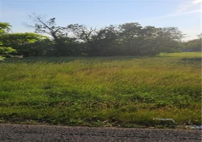 254 Margaret St, slovan, 15078, ,Farm-acreage-lot,For Sale,Margaret St,1705483