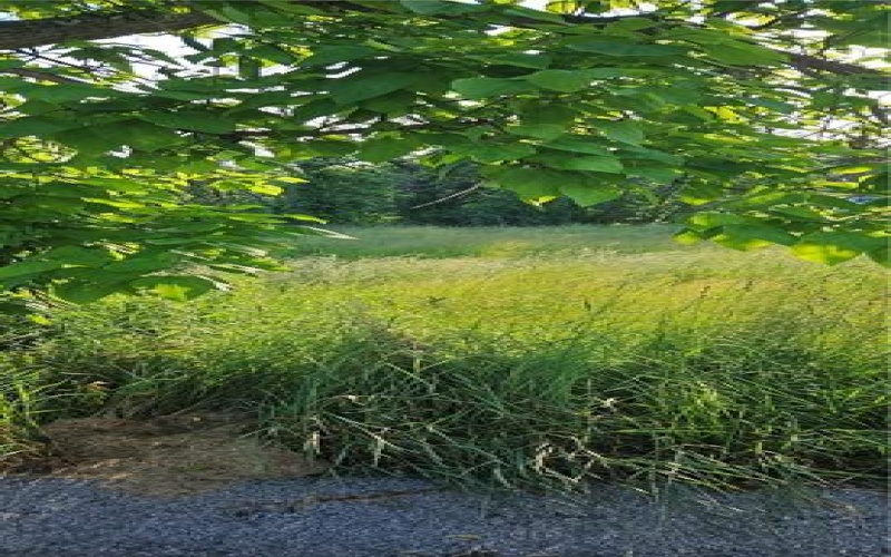 254 Margaret St, slovan, 15078, ,Farm-acreage-lot,For Sale,Margaret St,1705483