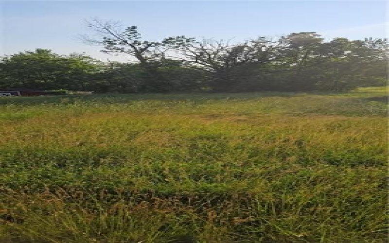 254 Margaret St, slovan, 15078, ,Farm-acreage-lot,For Sale,Margaret St,1705483