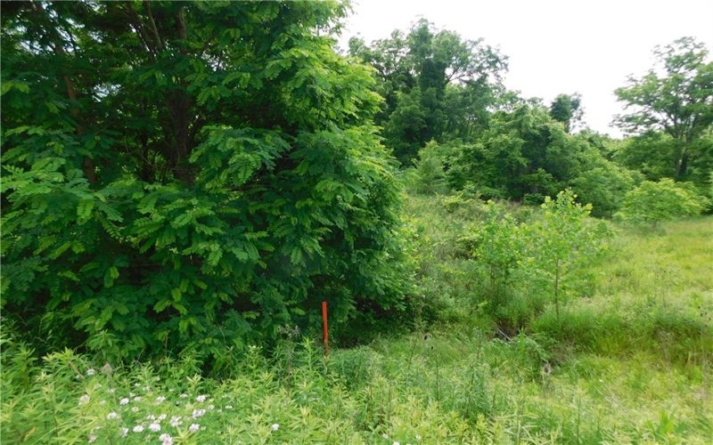 329 McClellandtown Road, Uniontown, 15401, ,Farm-acreage-lot,For Sale,McClellandtown Road,1705796