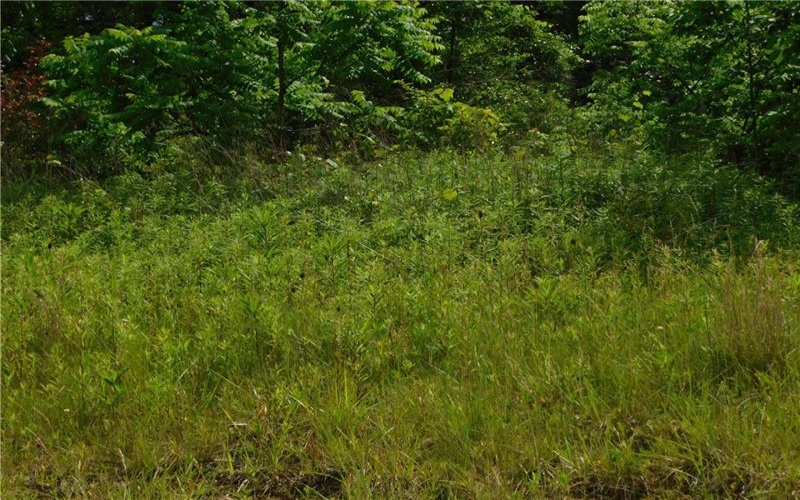 329 McClellandtown Road, Uniontown, 15401, ,Farm-acreage-lot,For Sale,McClellandtown Road,1705796