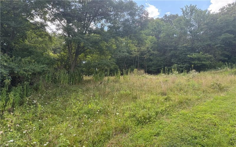 * Skidmore Dr, Jeannette, 15644, ,Farm-acreage-lot,For Sale,Skidmore Dr,1718296